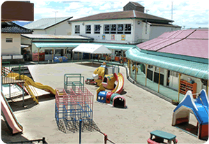 ��z�����c�t��